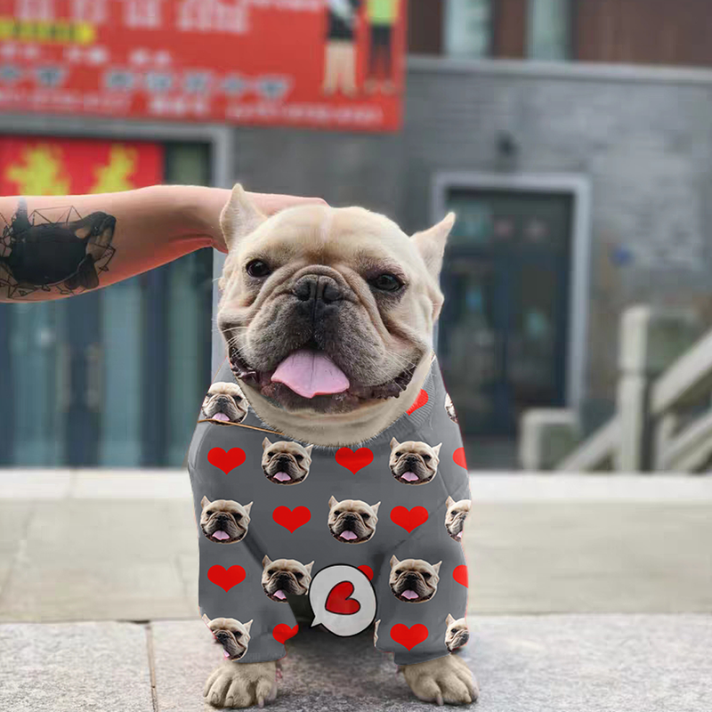 Foto Hund Schlafanzug Hundeabdruck Blau